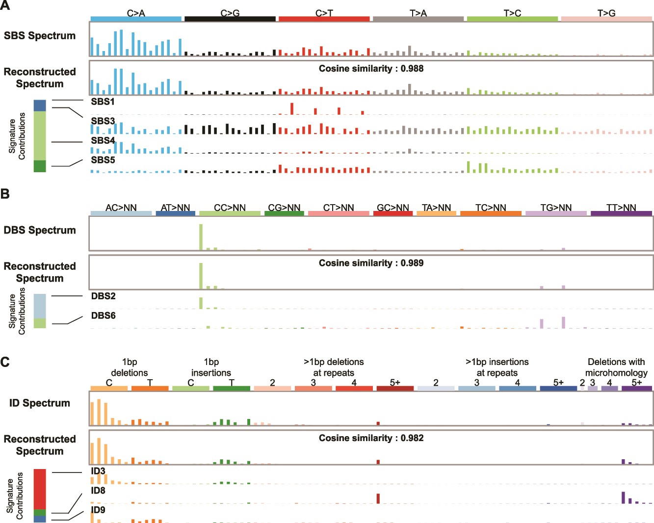 Decomposition of mutational signatures